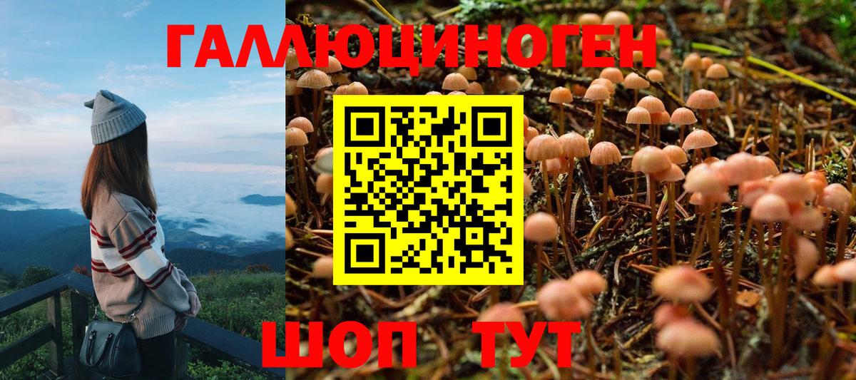 купить  цена  Вход с VPN  Тихорецк  Галлюциногенные грибы мухоморы 